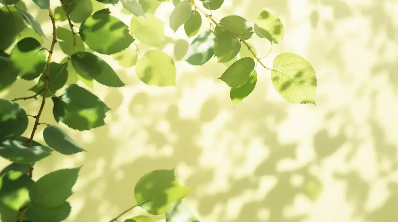 绿瓤影厅·夏梦放映 - yy影视 绿瓤影厅·夏梦放映